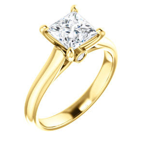 Cubic Zirconia Engagement Ring- The Tawanda (Customizable Princess Cut Cathedral Setting with Peekaboo Accents)