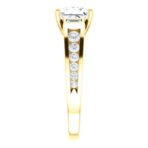 Cubic Zirconia Engagement Ring- The Portia (Customizable Princess Cut 15-stone Design)