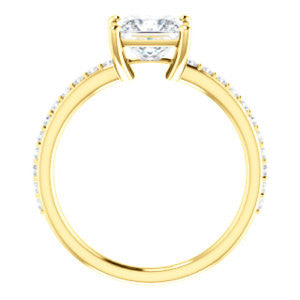 Cubic Zirconia Engagement Ring- The Blaire (Customizable Princess Cut with Petite Pavé Band)