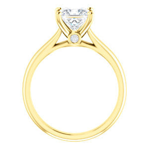 Cubic Zirconia Engagement Ring- The Tawanda (Customizable Princess Cut Cathedral Setting with Peekaboo Accents)