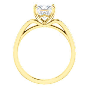 CZ Wedding Set, featuring The Sashalle engagement ring (Customizable Cathedral-Raised Princess Cut Design with Tapered Pavé Band)