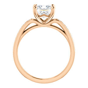 CZ Wedding Set, featuring The Sashalle engagement ring (Customizable Cathedral-Raised Princess Cut Design with Tapered Pavé Band)