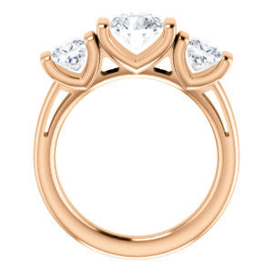 Cubic Zirconia Engagement Ring- The Nazareth (Customizable 3-stone Bar-set Round Cut Design with Princess Accents)