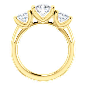 Cubic Zirconia Engagement Ring- The Nazareth (Customizable 3-stone Bar-set Cushion Cut Design with Princess Accents)