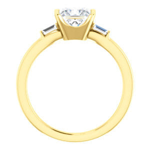 Cubic Zirconia Engagement Ring- The Stephanie (Customizable Bezel-set Princess Cut 3-stone with Baguette Accents)