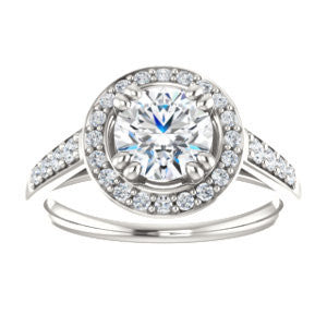 Cubic Zirconia Engagement Ring- The Julie Madison (Customizable Round Cut Style with Halo and Round Cut Journey-Style Band Accents)