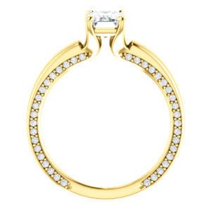 Cubic Zirconia Engagement Ring- The Rosalina (Customizable Radiant Cut with Three-sided Pavé Band)