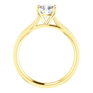 Cubic Zirconia Engagement Ring- The Rosario (Customizable Cushion Cut Cathedral Setting with 3/4 Pavé Band)
