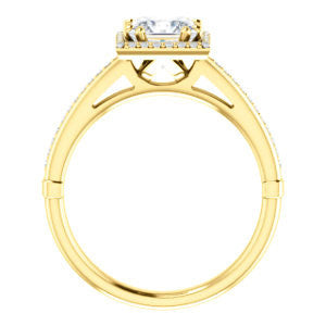 Cubic Zirconia Engagement Ring- The Letitia (Customizable Cathedral-set Princess Cut Halo Style with Pavé Band)