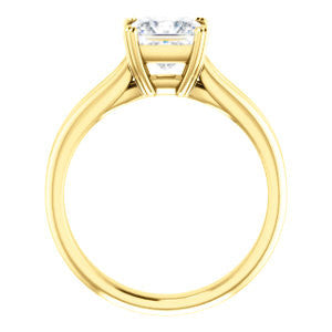 Cubic Zirconia Engagement Ring- The Jan (Customizable Princess Cut Thick-Split Band Solitaire)