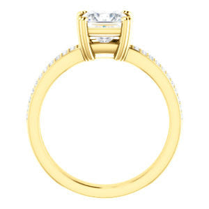 Cubic Zirconia Engagement Ring- The Trudy (Customizable Princess Cut Style with Wide Double Pavé Band)