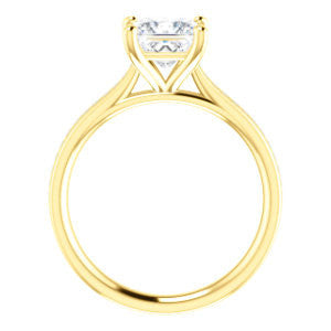 Cubic Zirconia Engagement Ring- The Rosario (Customizable Princess Cut Cathedral Setting with 3/4 Pavé Band)