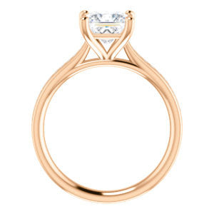 Cubic Zirconia Engagement Ring- The Rosario (Customizable Princess Cut Cathedral Setting with 3/4 Pavé Band)