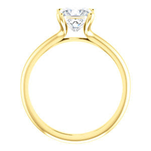 Cubic Zirconia Engagement Ring- The Kathleen (Customizable Princess Cut Solitaire)